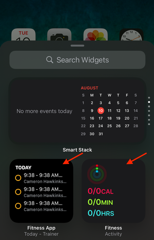 Adding Trainerize widgets to your mobile home screen (Trainers - iOS